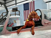 Dog sitting in airplane.
